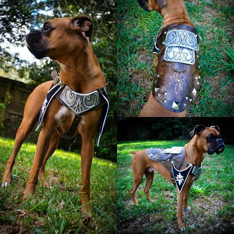 Illustration for article titled Dragon Age Cosplay Is Better With Dogs